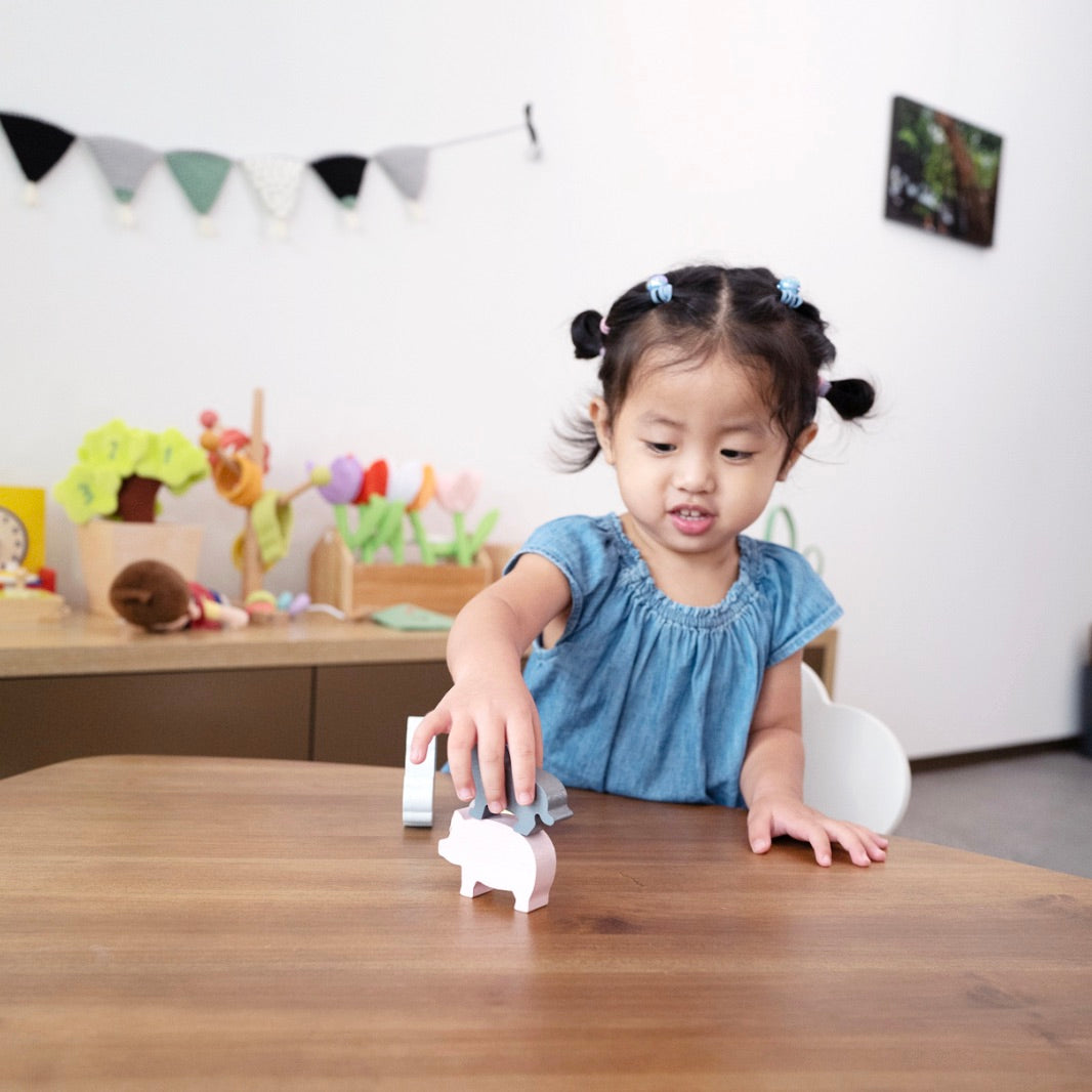 Farm Play Kit
