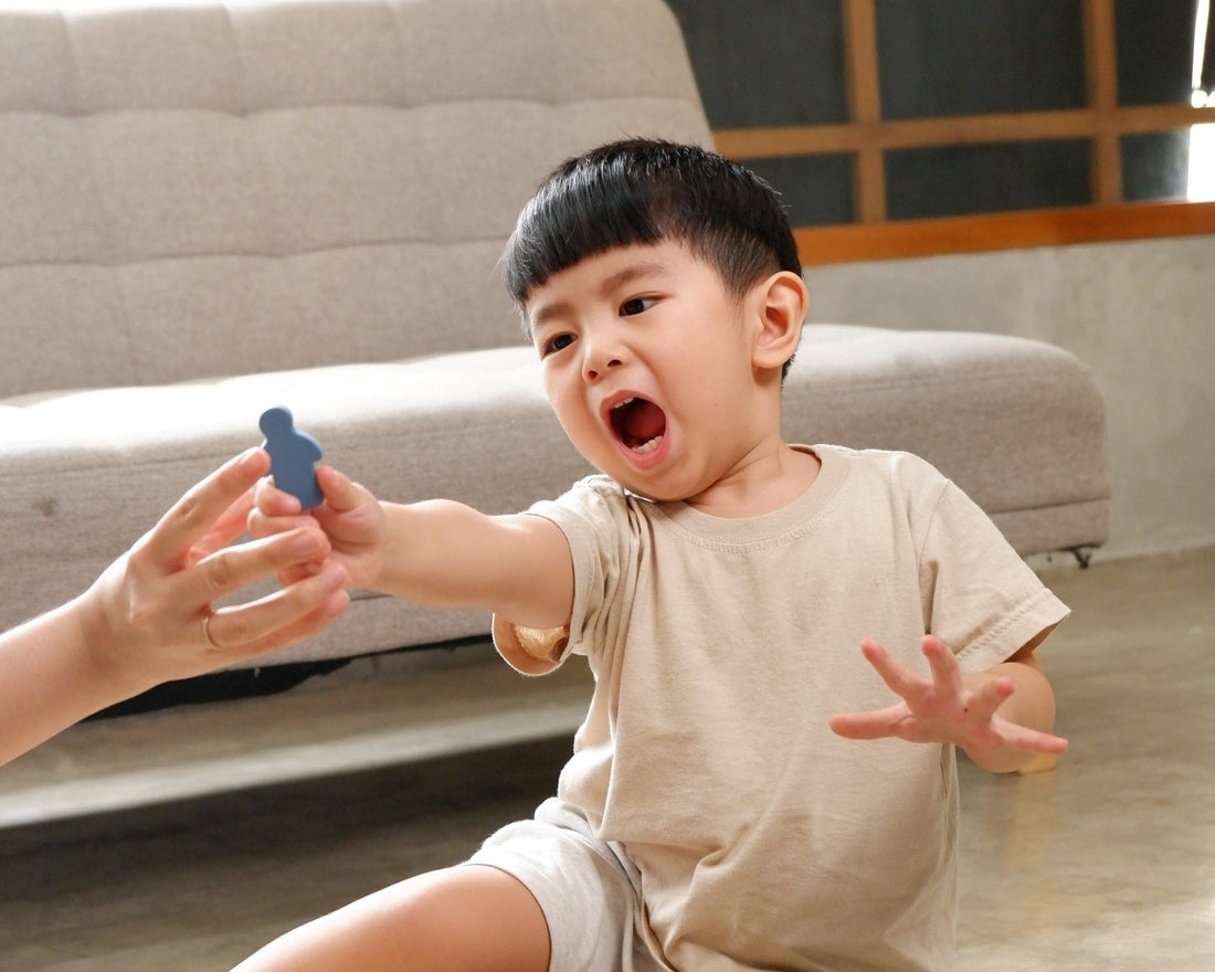 Apa Itu Terrible Two & Fase - Fasenya pada Anak?