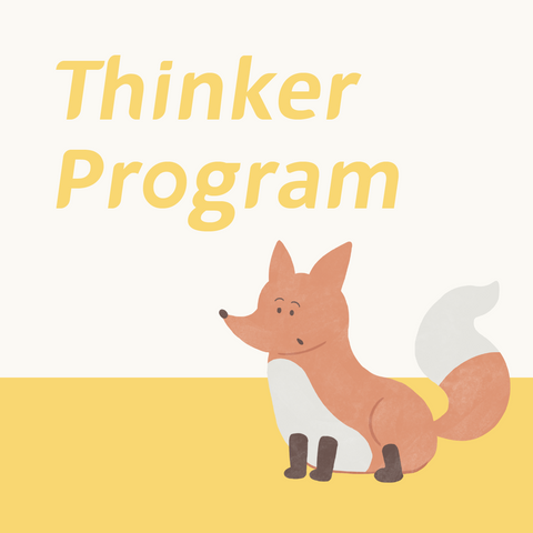 Program Thinker (13-18 Bulan)