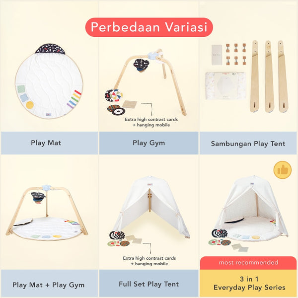 The Everyday Play Series
