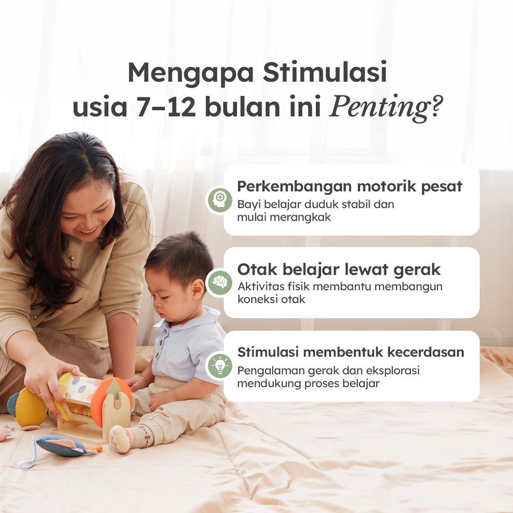 Program Explorer 7 - 12 Bulan
