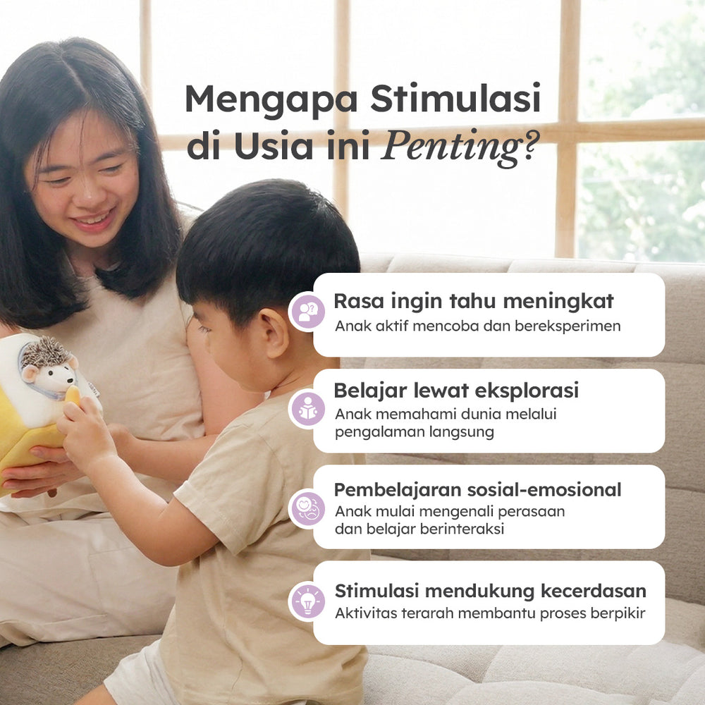 Program Investigator 25 - 30 Bulan