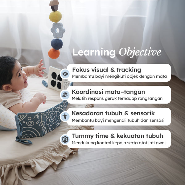 Program Sensory 0 - 6 Bulan