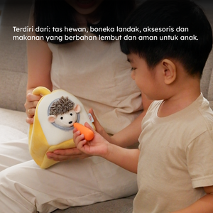 Pet Hedgehog Play Set