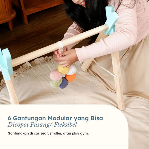 Modular Mobile