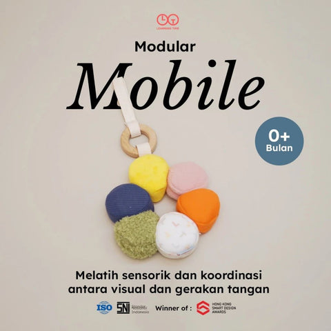 Modular Mobile