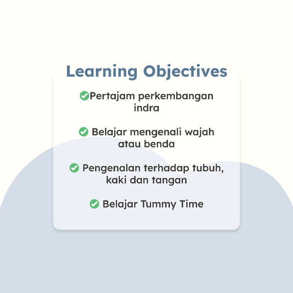 Program Sensory & Explorer (Usia 0 - 12 Bulan)