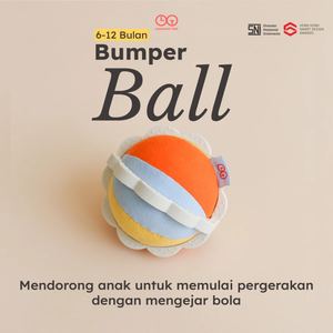 Bumper Ball (Warehouse Sale)