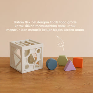 Shape Container (Warehouse Sale)