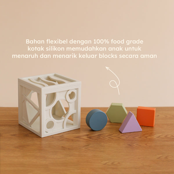 Shape Container (Warehouse Sale)