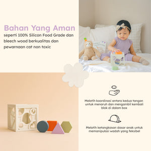 Shape Container (Warehouse Sale)