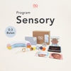 Program Sensory 0-3 Bulan