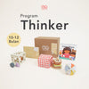 Program Thinker 10-12 Bulan