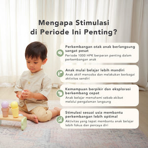 Program Adventurer 28-30 Bulan