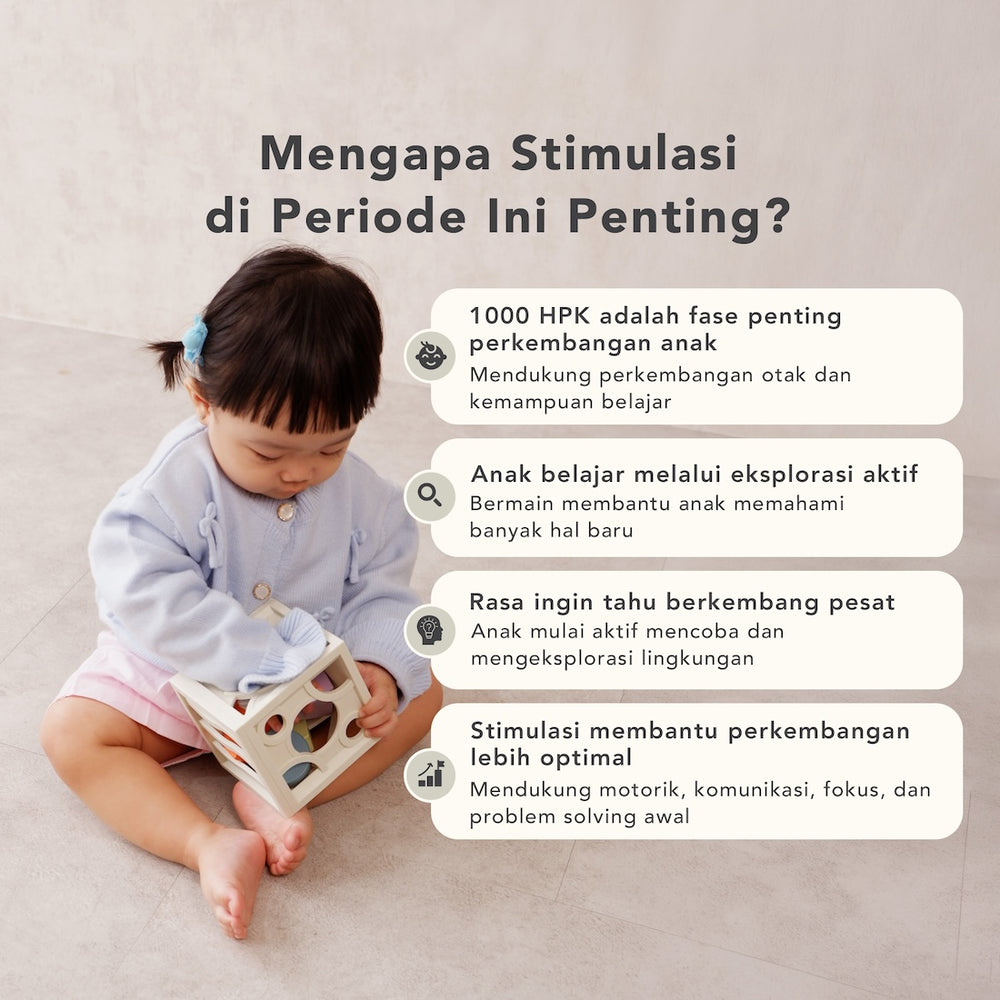 Program Inspector 13-15 Bulan