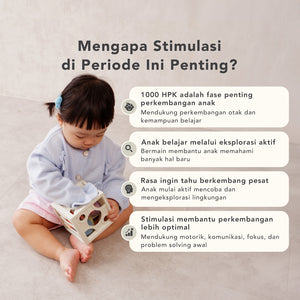 Program Inspector 13-15 Bulan