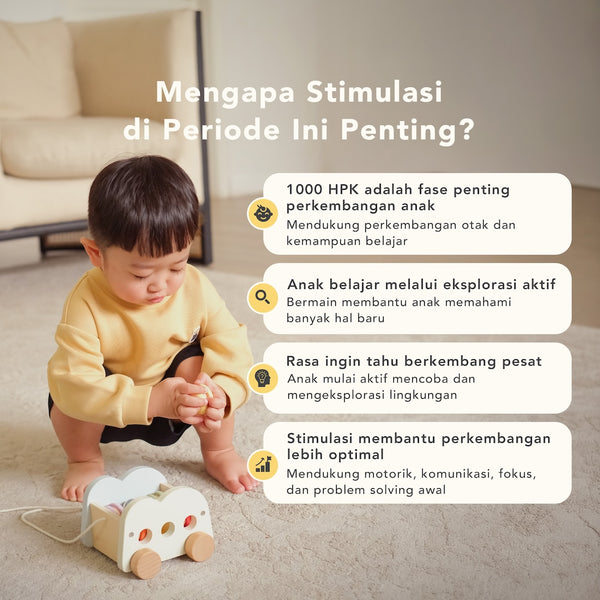 Program Builder 19-21 Bulan