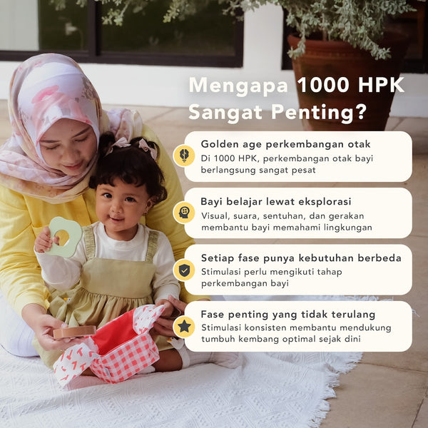 Program Thinker 10-12 Bulan