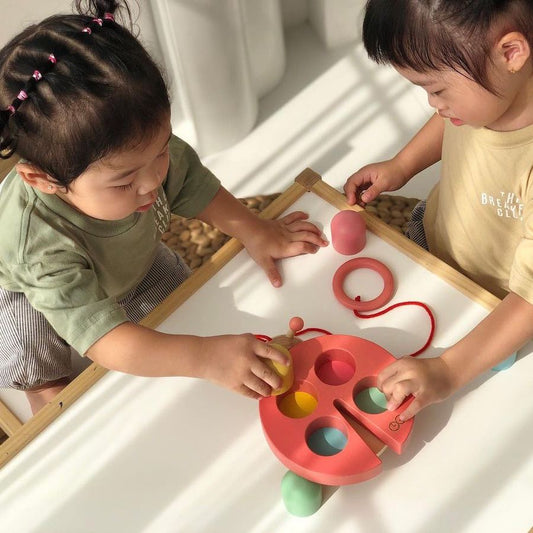 Ladybug Pulling Toy